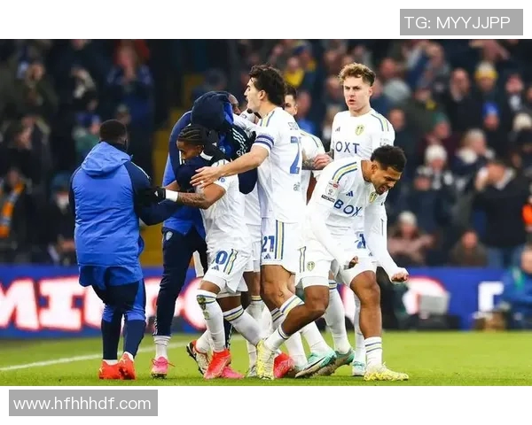 北安普顿主场迎战加的夫城双方争夺英冠积分榜关键战役 北安普顿主场迎战加的夫城双方争夺英冠积分榜关键战役