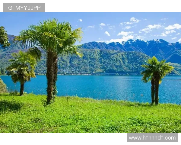 美洲狮与虎的生存之战谁才是丛林之王的真正代表